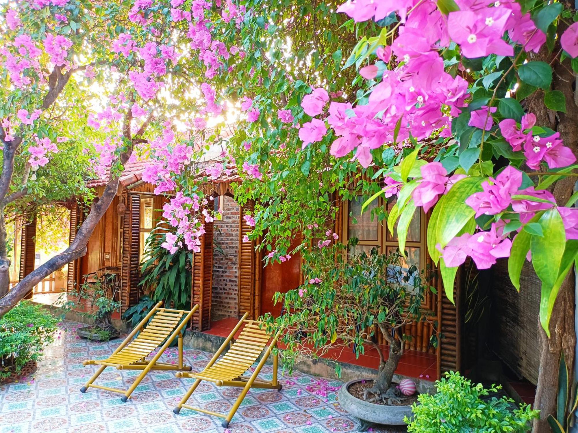 נין בין Tam Coc Sunshine Homestay מראה חיצוני תמונה